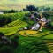HANOI - SAPA - HANOI 2 DAYS 1 NIGHT 